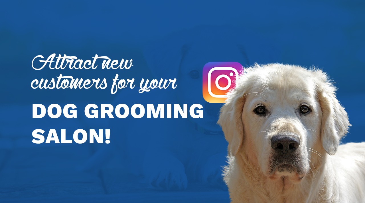 Instagram tips to attract new customers Dog Grooming Salon