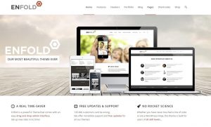 Choose The Right Theme On ThemeForest, How? Daily Technics