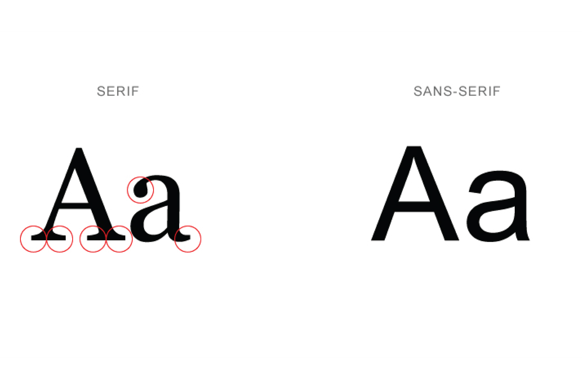 What are the italic serif fonts that have single-storey lowercase