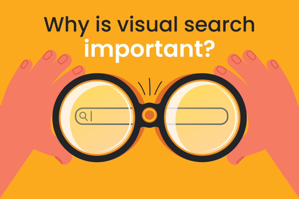 why is visual search important