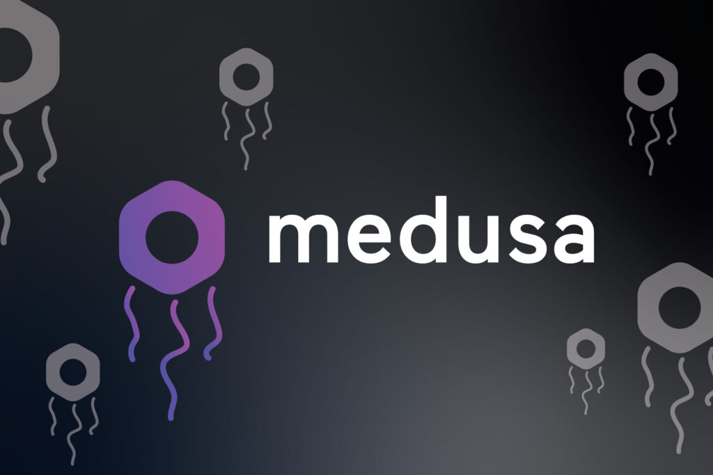 medusajs websites - custom ecommerce websites